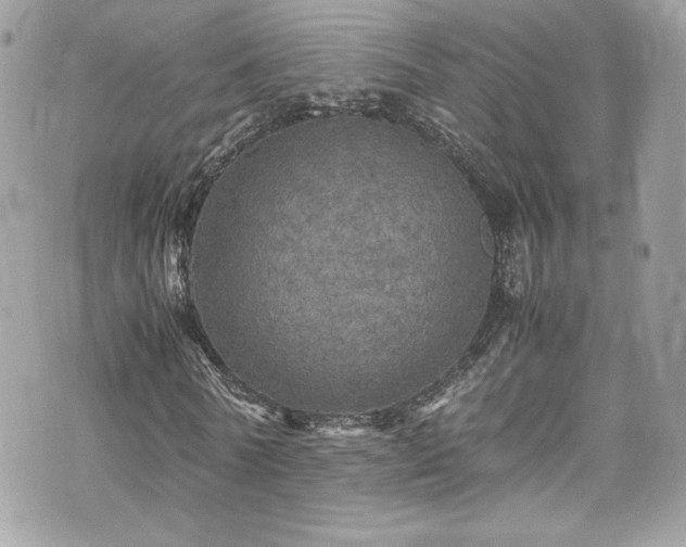 X0000070410770200606161410