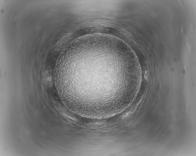 X0000070410771200606161410