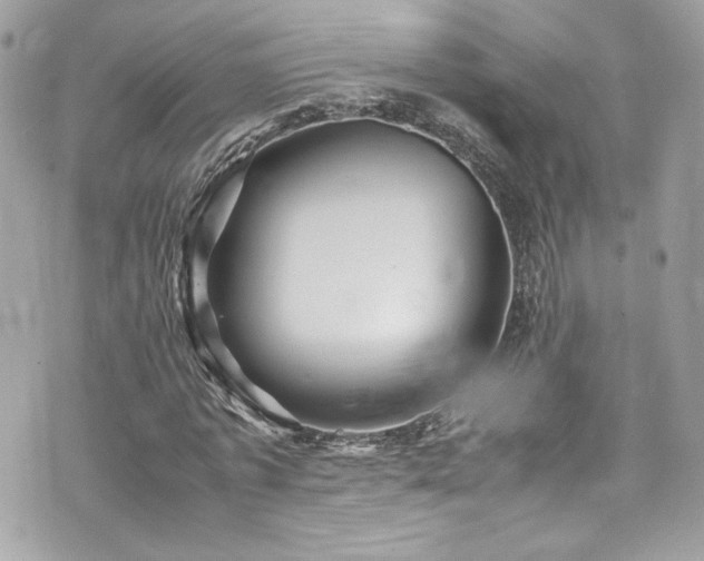 X0000070410773200606161410