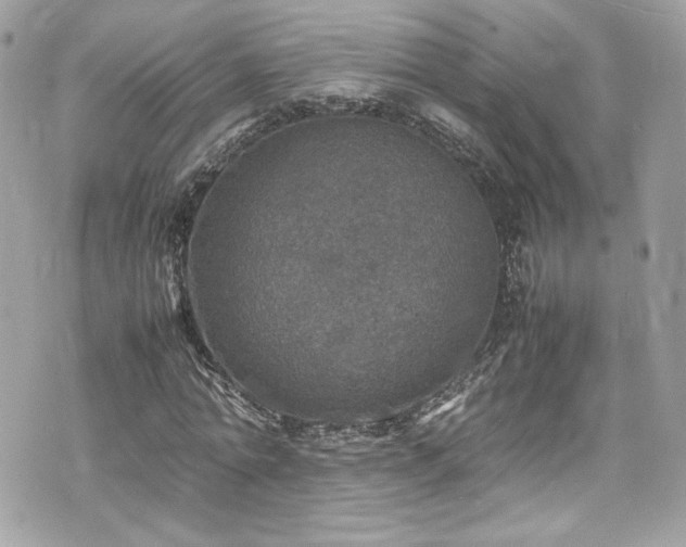 X0000070410774200606161410