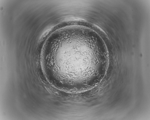 X0000070410775200606161410