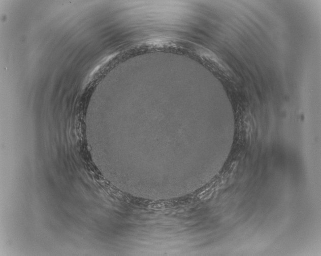 X0000070410776200606161410