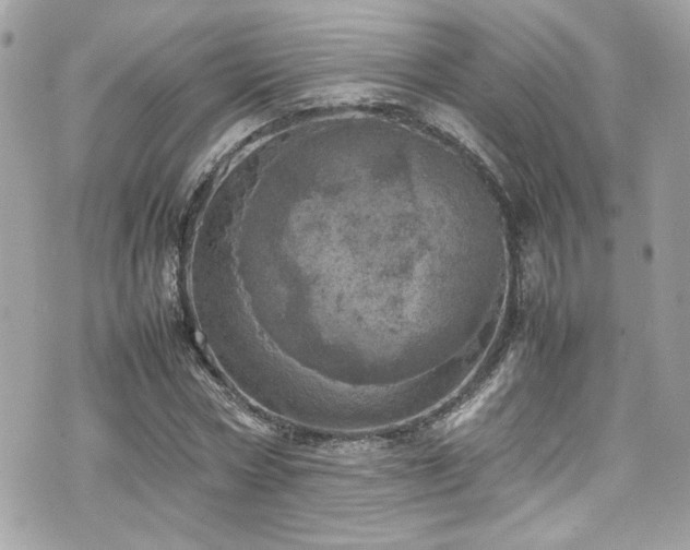 X0000070410778200606161410