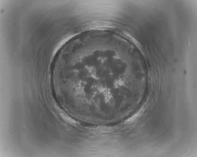 X0000070410779200606161410