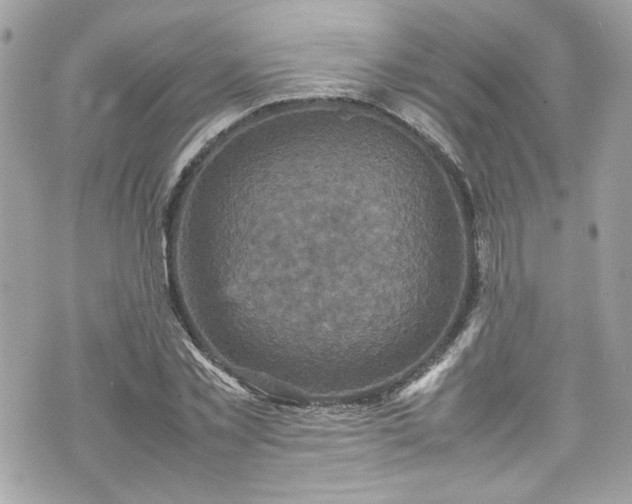 X0000070410781200606161410