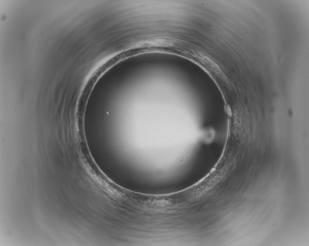 X0000070410784200606161410