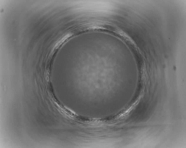 X0000070410785200606161410