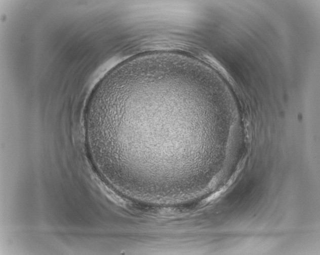 X0000070410787200606161410