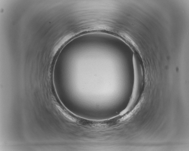 X0000070410789200606161410