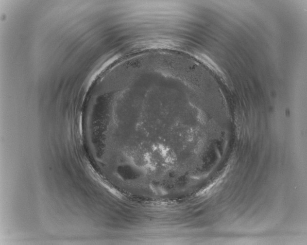 X0000070410790200606161410