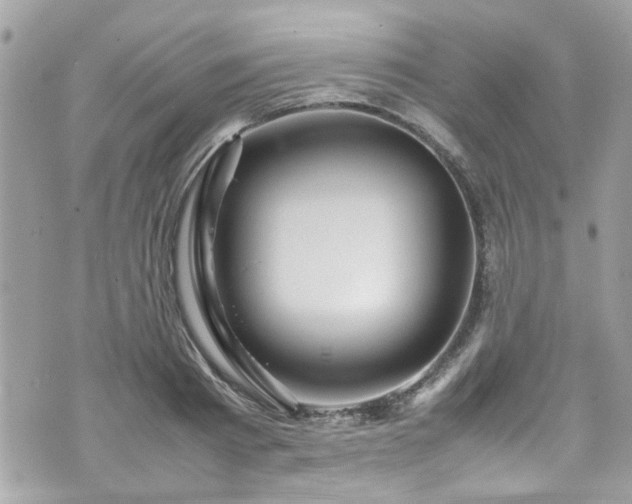 X0000070410793200606161410