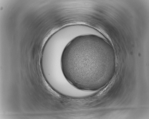 X0000070410797200606161410