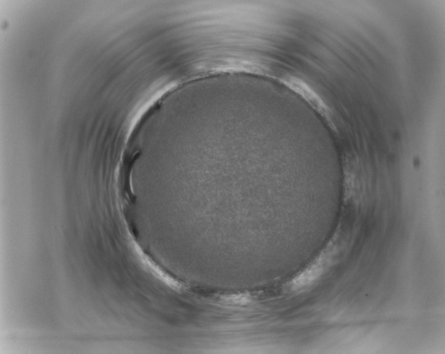 X0000070410798200606161410