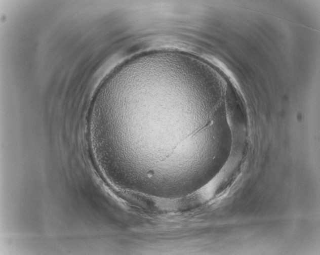 X0000070410799200606161410