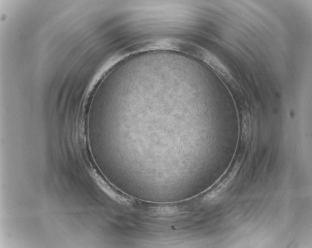 X0000070410800200606161410