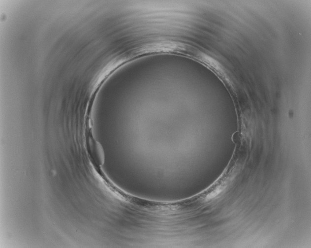 X0000070410802200606161410