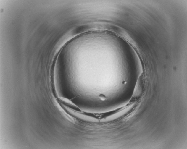 X0000070410803200606161410