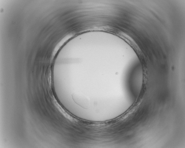 X0000070410804200606161410