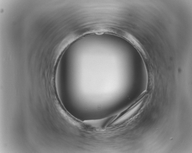 X0000070410805200606161410