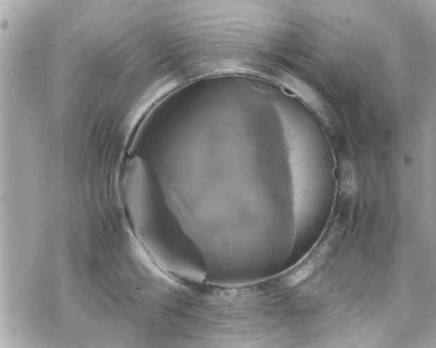 X0000070410806200606161410