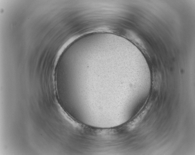 X0000070410808200606161409