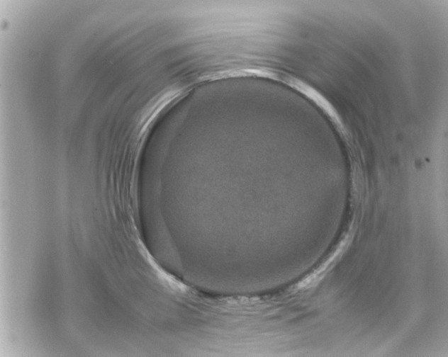 X0000070410809200606161409