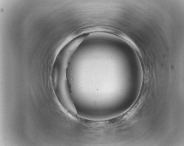 X0000070410813200606161409