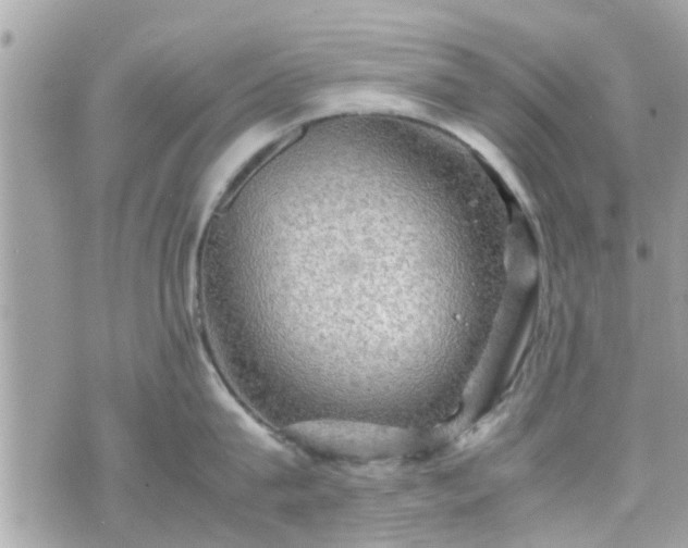 X0000070410815200606161409