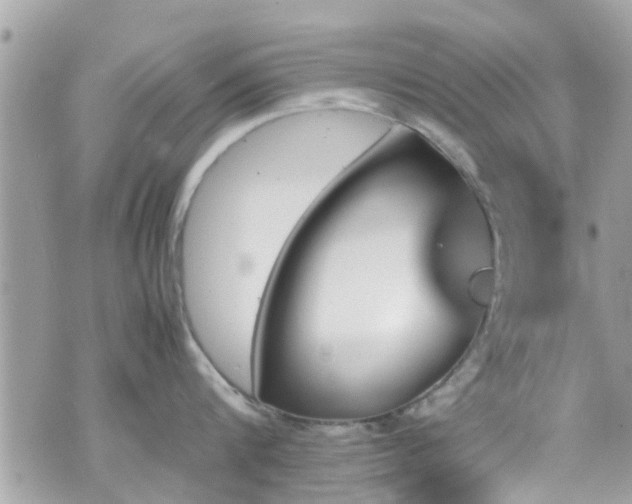 X0000070410816200606161409