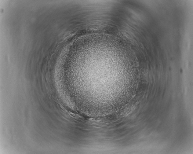 X0000070410817200606161409