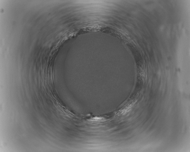 X0000070410818200606161409