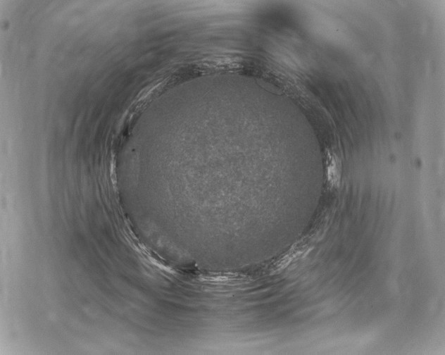 X0000070410819200606161409