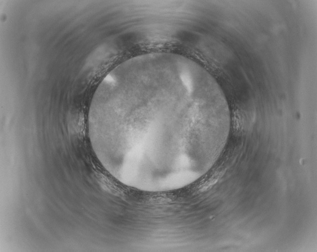 X0000070410820200606161409