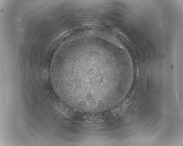 X0000070410821200606161409