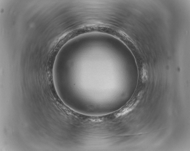 X0000070410822200606161409