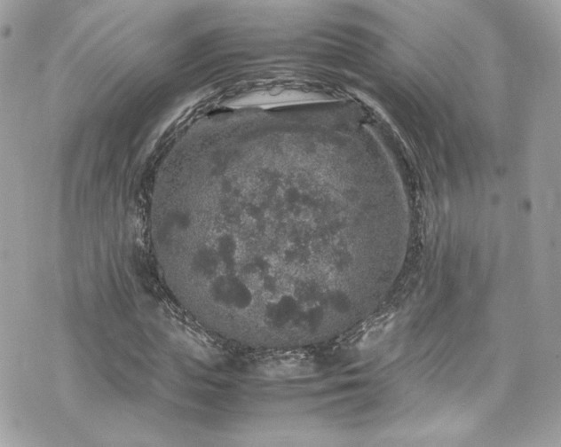 X0000070410823200606161409