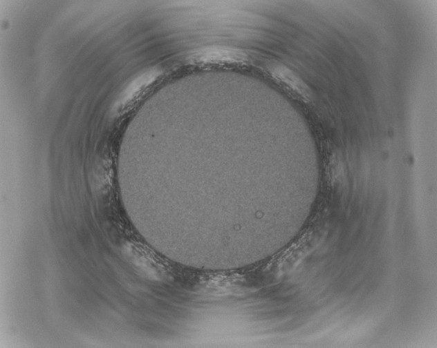 X0000070410824200606161409