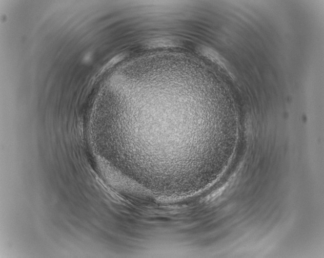 X0000070410825200606161409