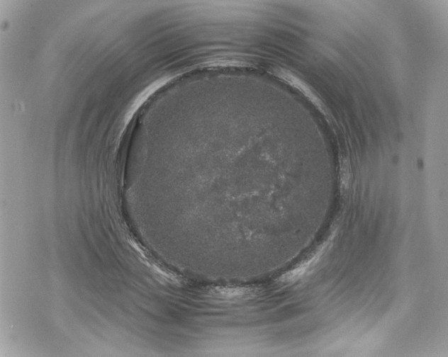 X0000070410829200606161409