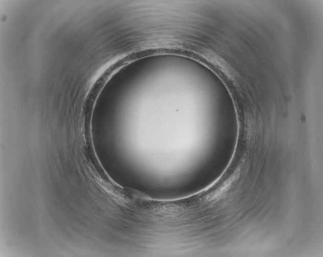 X0000070410830200606161409