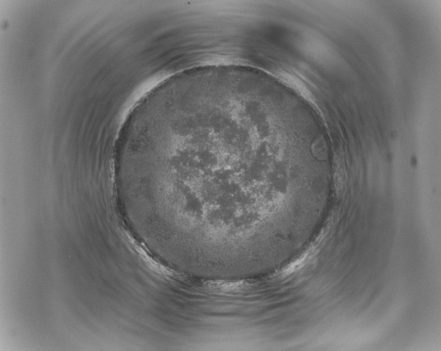 X0000070410831200606161409