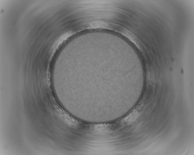 X0000070410832200606161409