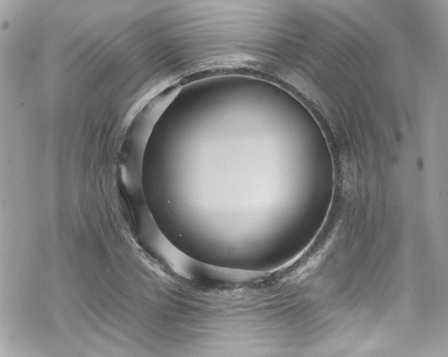 X0000070410834200606161409