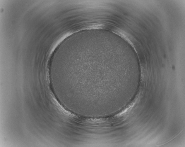 X0000070410835200606161409