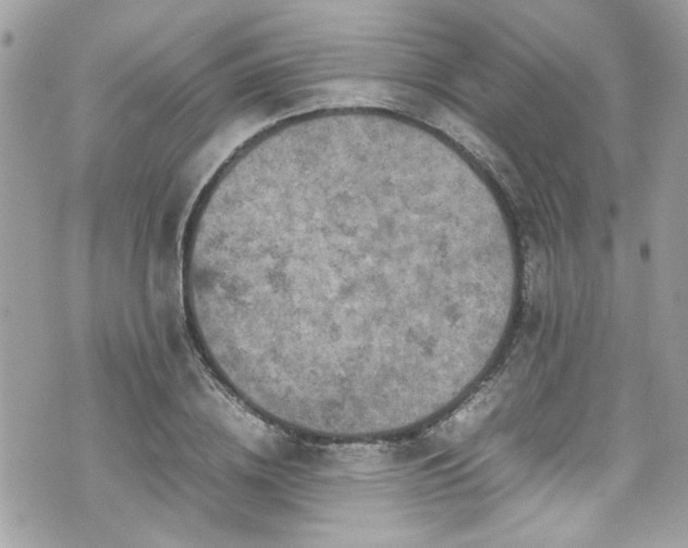 X0000070410836200606161409