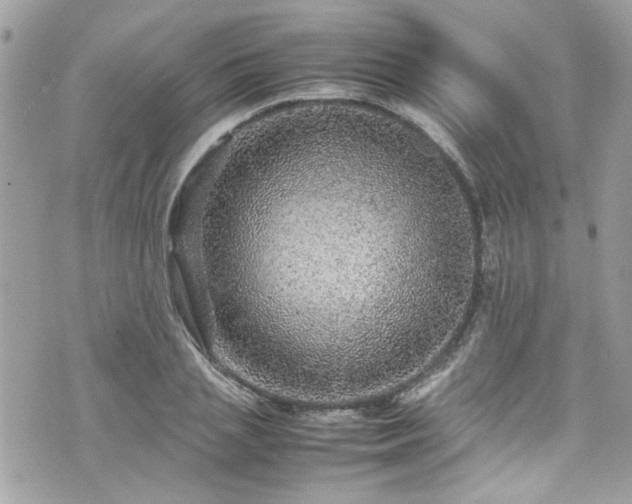 X0000070410837200606161409