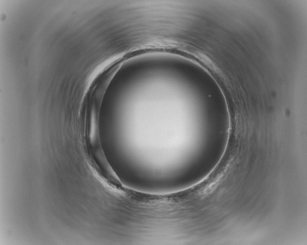 X0000070410838200606161409