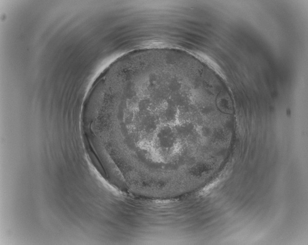 X0000070410839200606161409