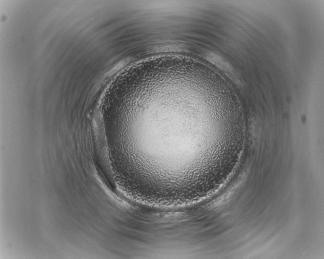 X0000070410841200606161409