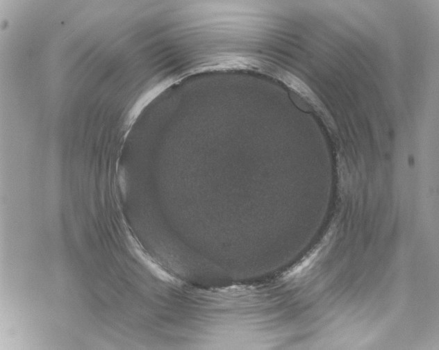 X0000070410842200606161409